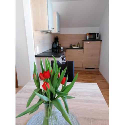 Apartment Bauer