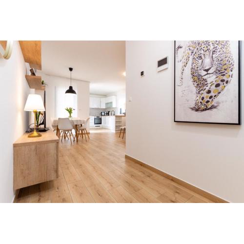 Apartment Bellezza