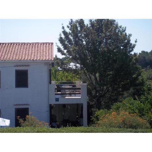 Apartment Branka