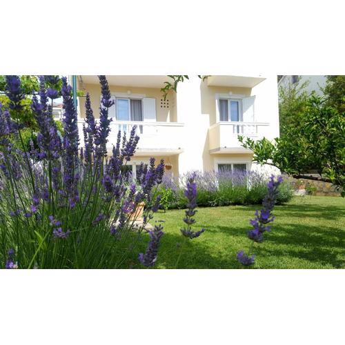 Apartment Branka