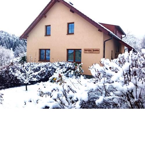 Apartment Brusinka