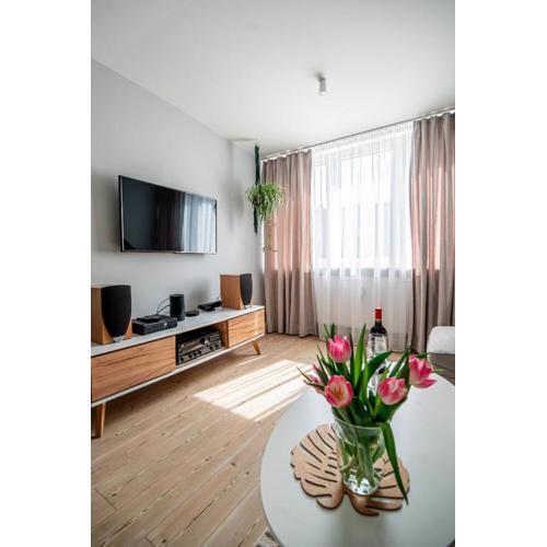 Apartment by the Castle - top spot in Szczecin