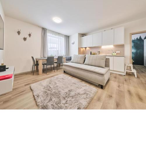 Apartment Černý Důl-4 by Interhome