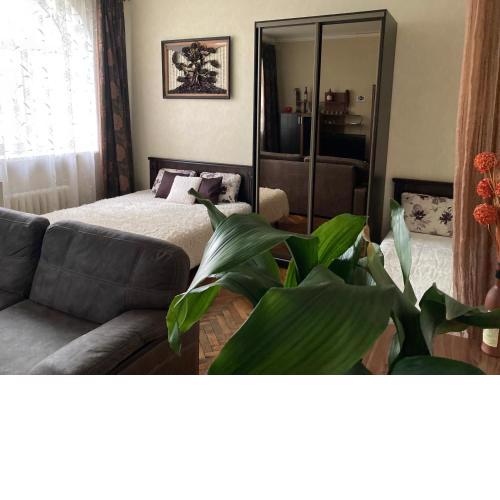 Apartment close to Roshen fountain