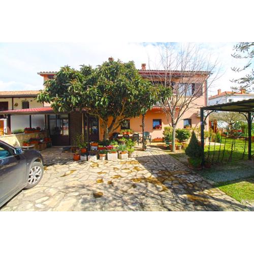 Apartment Cocaletto 2313