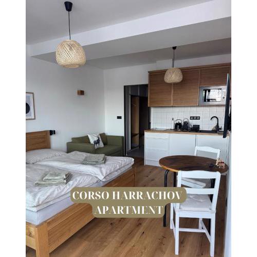 Apartment Corso Harrachov