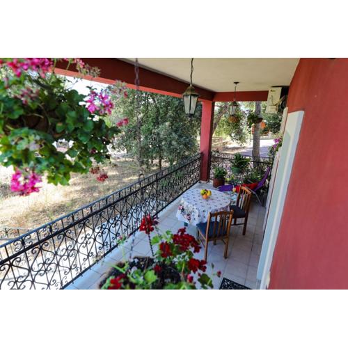 Apartment Corto