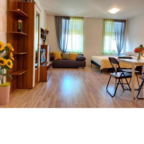 Apartment ČSA #4 in the Historic Center Hradec Králové