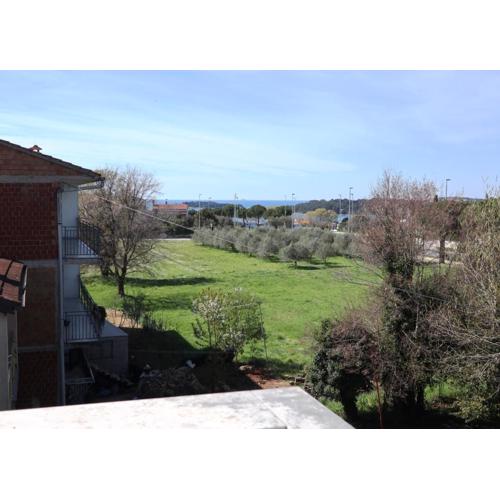 Apartment Dado