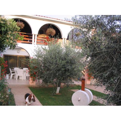 Apartment Dady with a large covered terrace