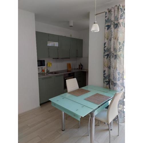 Apartment DeLux Smolna Poznan