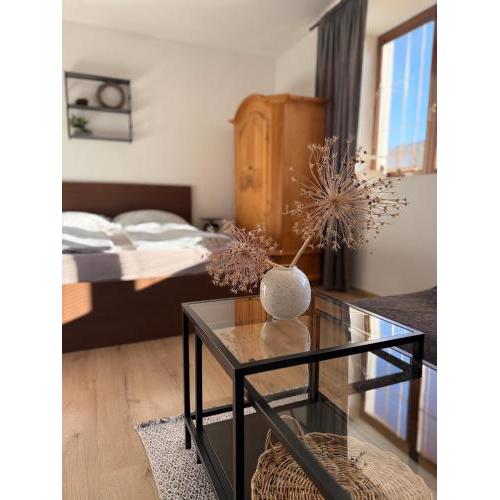 Apartment Dubnica Prejta