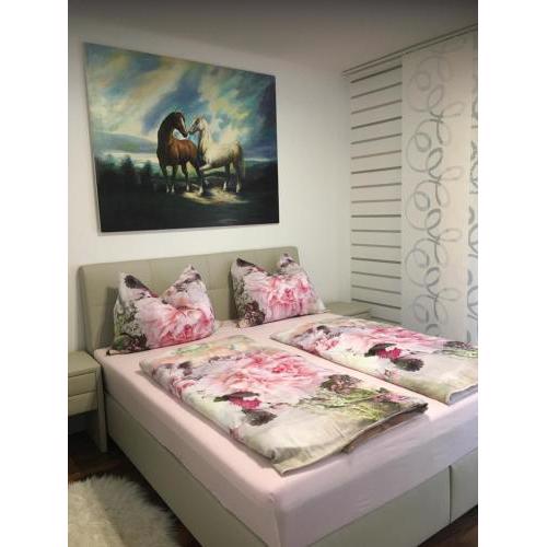 Apartment Elfi