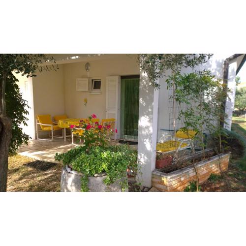 Apartment Free Parking Big Garden