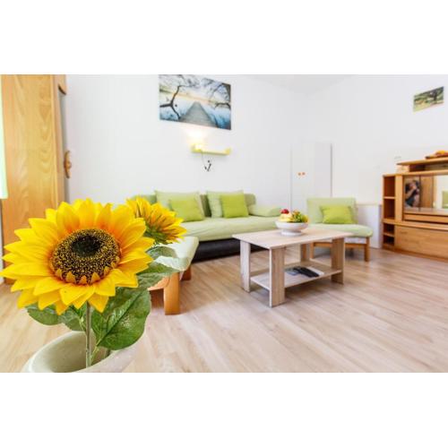 Apartment Green Forest