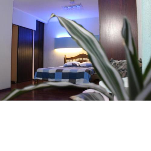 Apartment Haharina 62