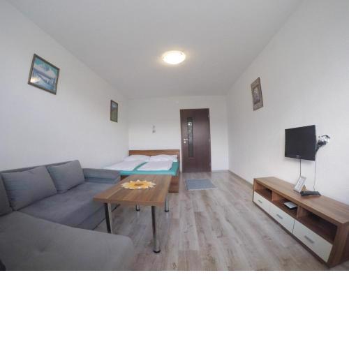 Apartment Igor