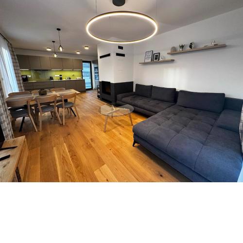 Apartment in Cerny Dul near ski resort