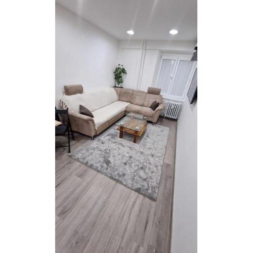 Apartment in greater downtown area