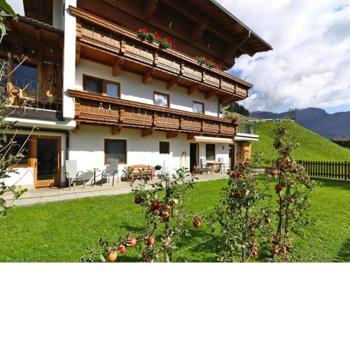 Apartment in Hippach im Zillertal with a garden