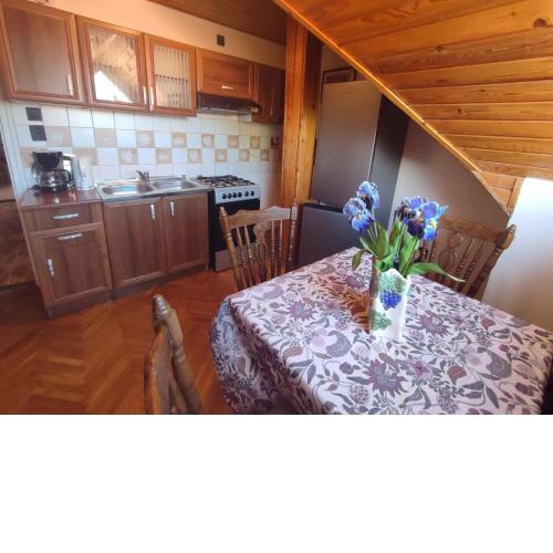 Apartment in Keszthely - Balaton 51438