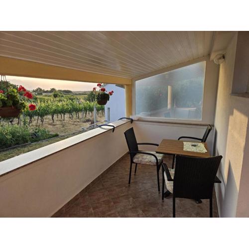 Apartment in Nin with Terrace, Air conditioning, Wi-Fi (3722-2)