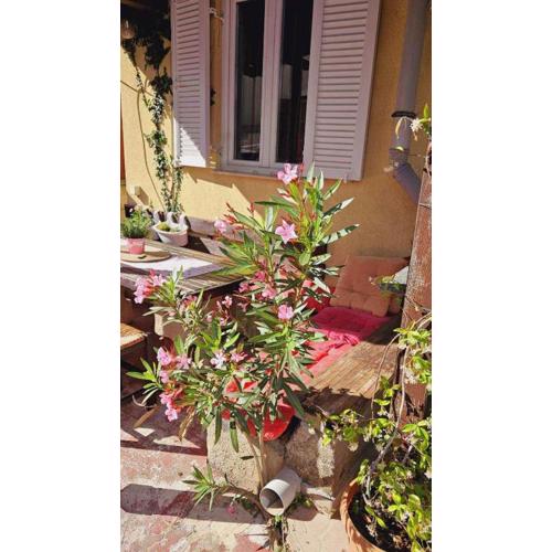 Apartment in Novi Vinodolski 54433