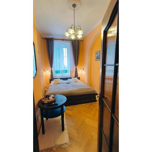 Apartment in Old Town City Center Karlovy Vary