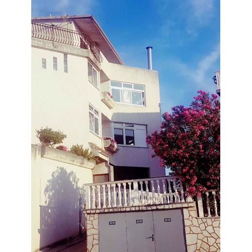 Apartment in Primosten - Sibenik Riviera 36075