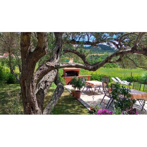 Apartment in Rab/Insel Rab 17563