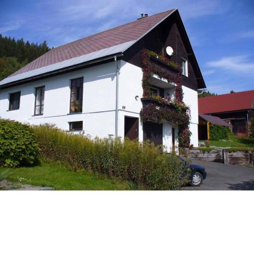 Apartment in Rokytnice nad Jizerou 2471