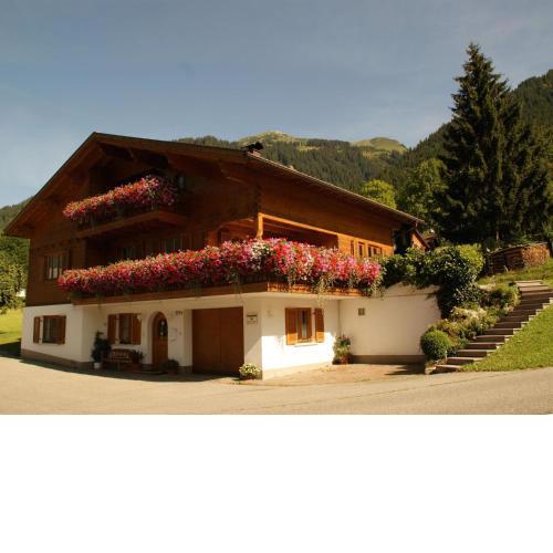 Apartment in Sankt Gallenkirch with terrace
