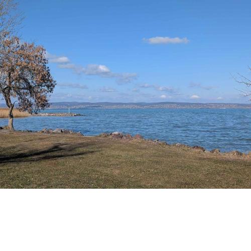 Apartment in Siofok - Balaton 53708