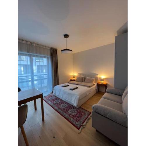 Apartment in the center