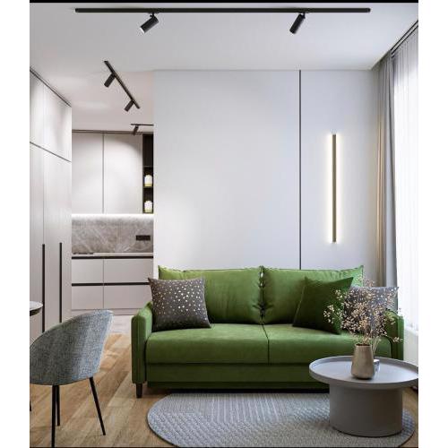 Apartment in the city center near the park