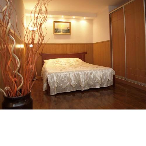 Apartment in the city center