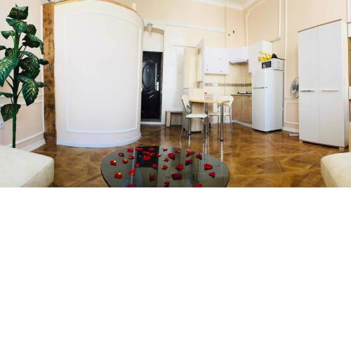 Apartment in the city center