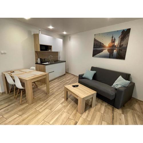 Apartment in the Krakow Old Town Bosacka 7