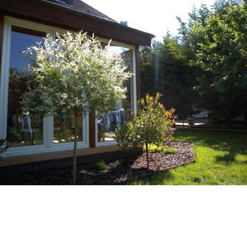 Apartment in Zamardi/Balaton 20369