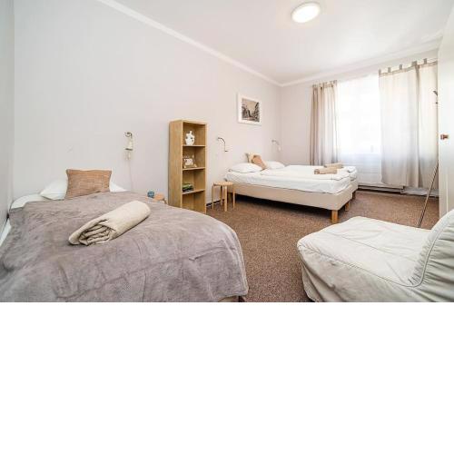 Apartment in Zizkov -202-
