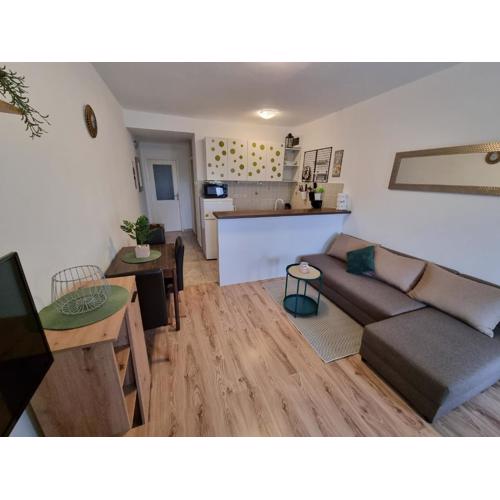 Apartment IVANA