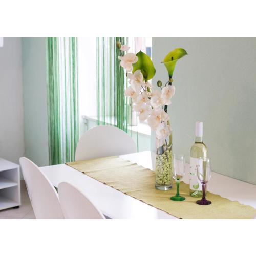 Apartment Ivana