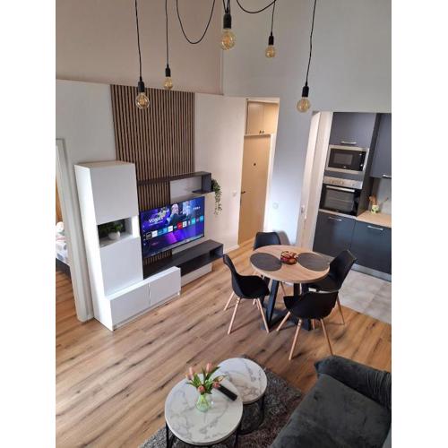 Apartment Ivko - private parking