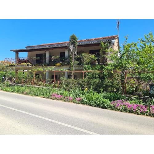 Apartment Kanfanar 2325