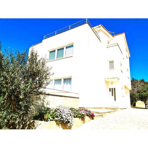 Apartment Karlo - city center