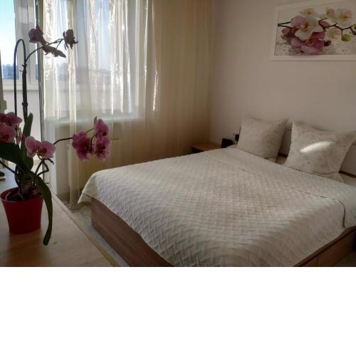 Apartment Kiev Studio with city view