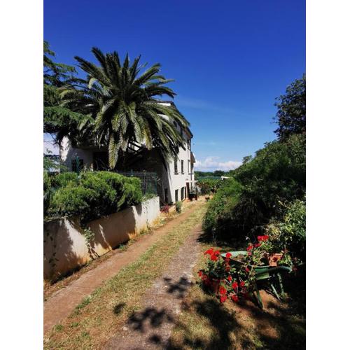 Apartment Kira - spacious apartment with sea view