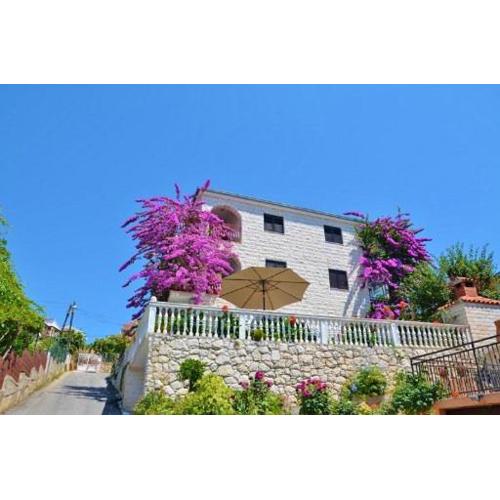 Apartment Knez