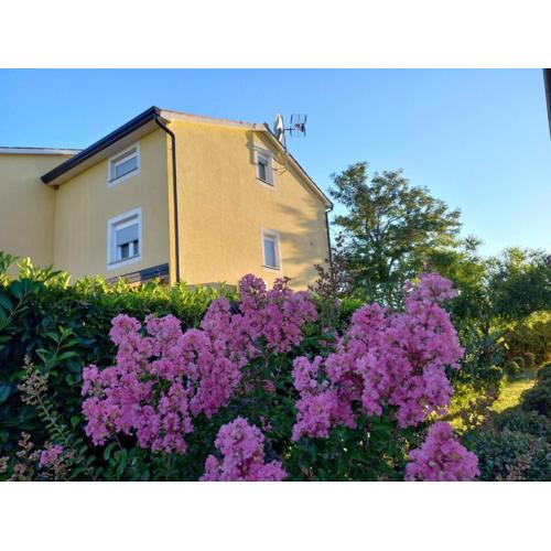 Apartment Lavanda