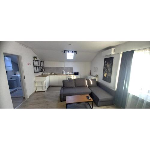 Apartment Lenchy
